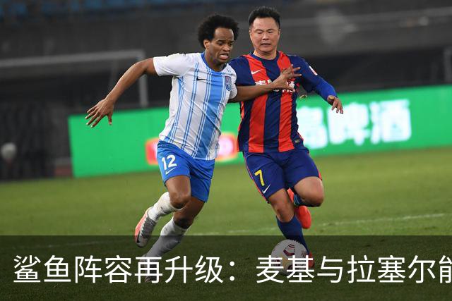 鲨鱼阵容再升级：麦基与拉塞尔能否助力卫冕？